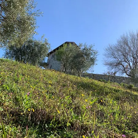 Villa Shehu *