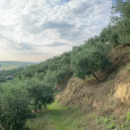 Villa Shehu