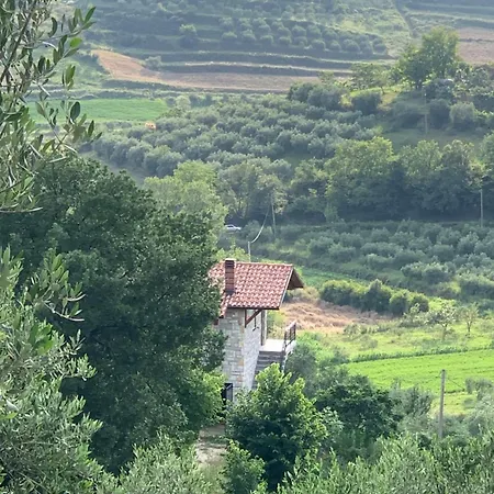 Villa Shehu *