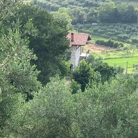 Villa Shehu